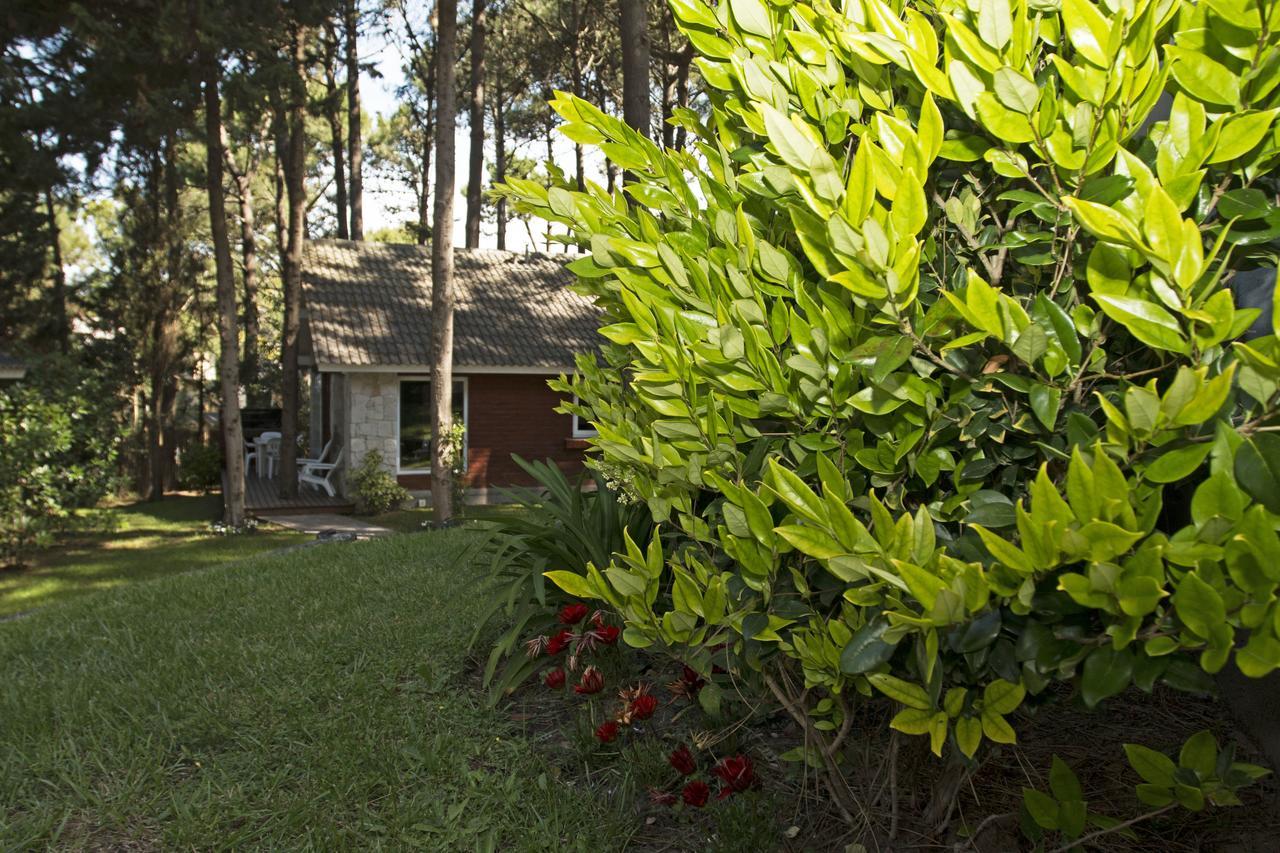 Cabañas Antares Mar de Las Pampas Exterior foto